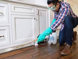 Best Residential Pest Control  in Nice, CA